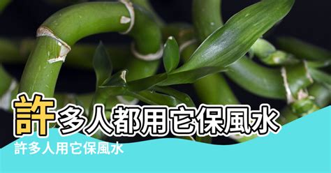 山烏龜 風水